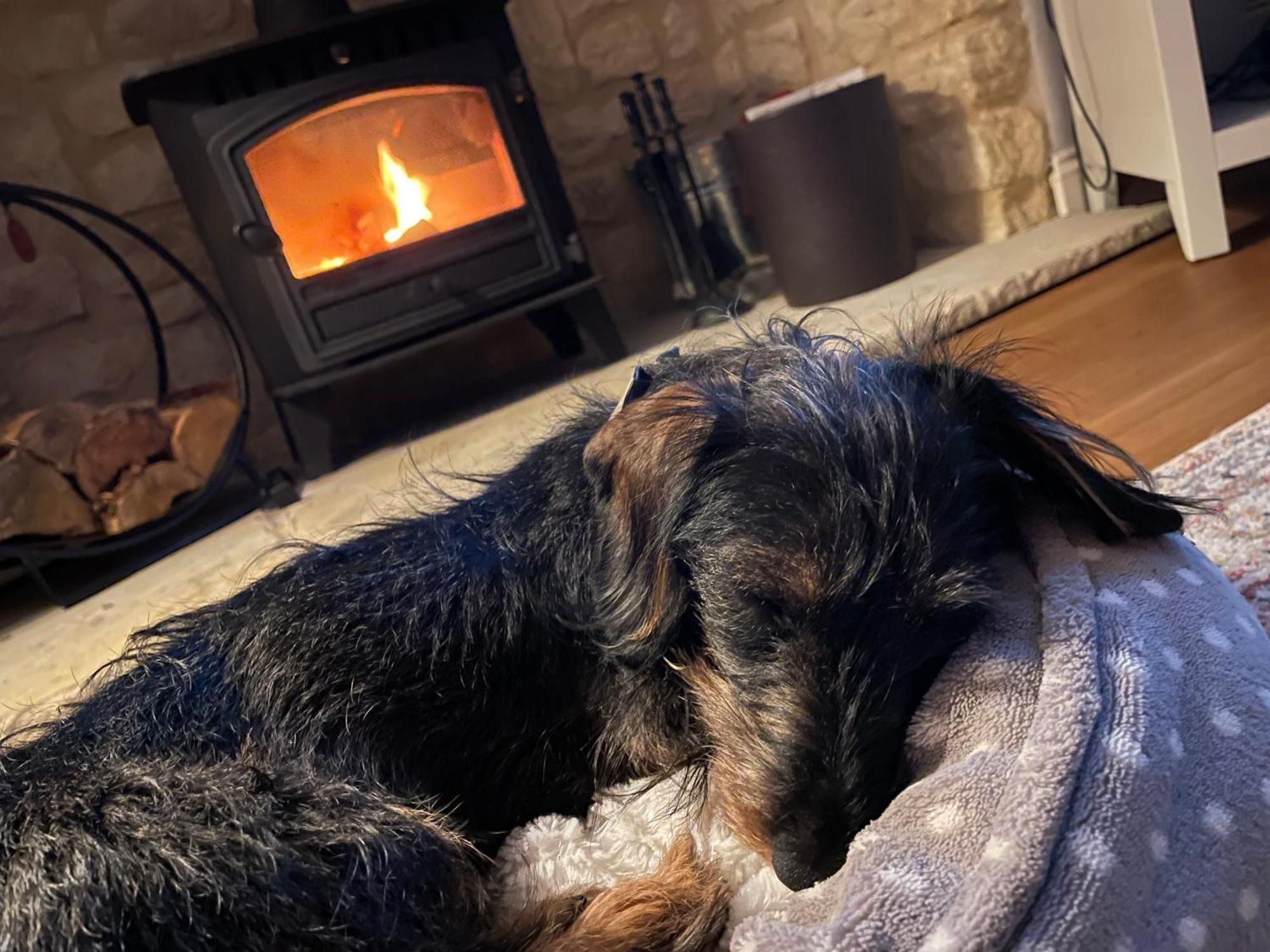 Cosy Cotswold Lodge: Family-Friendly Retreat with Spa and Heated Pools Ashton Keynes Exterior photo